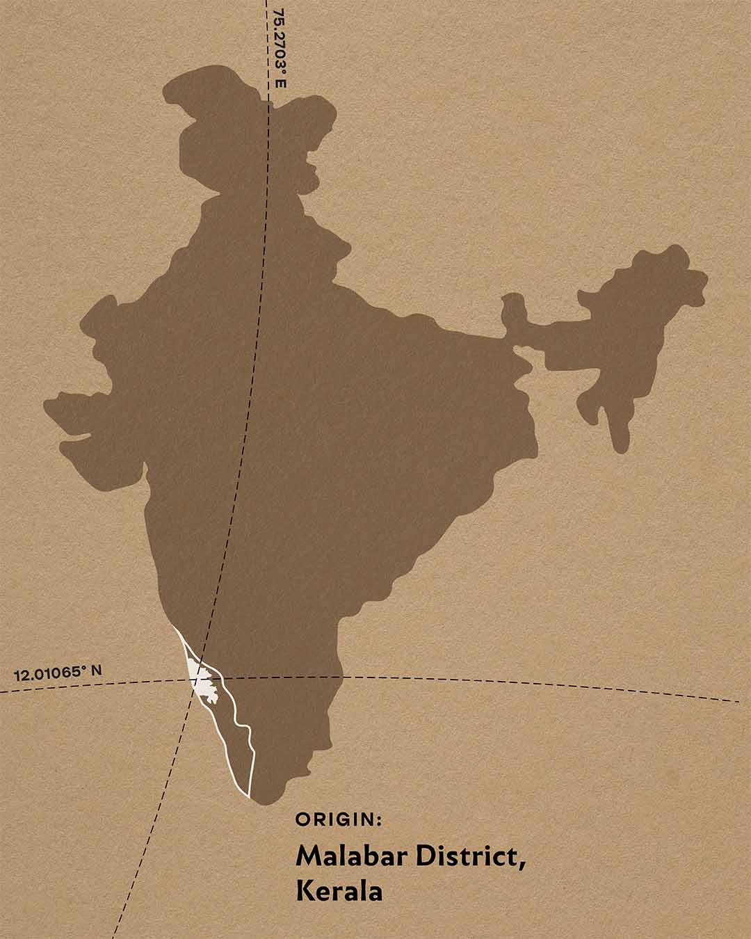 Indian Origin Tablet No. 7 - 69% Dark - Image 3