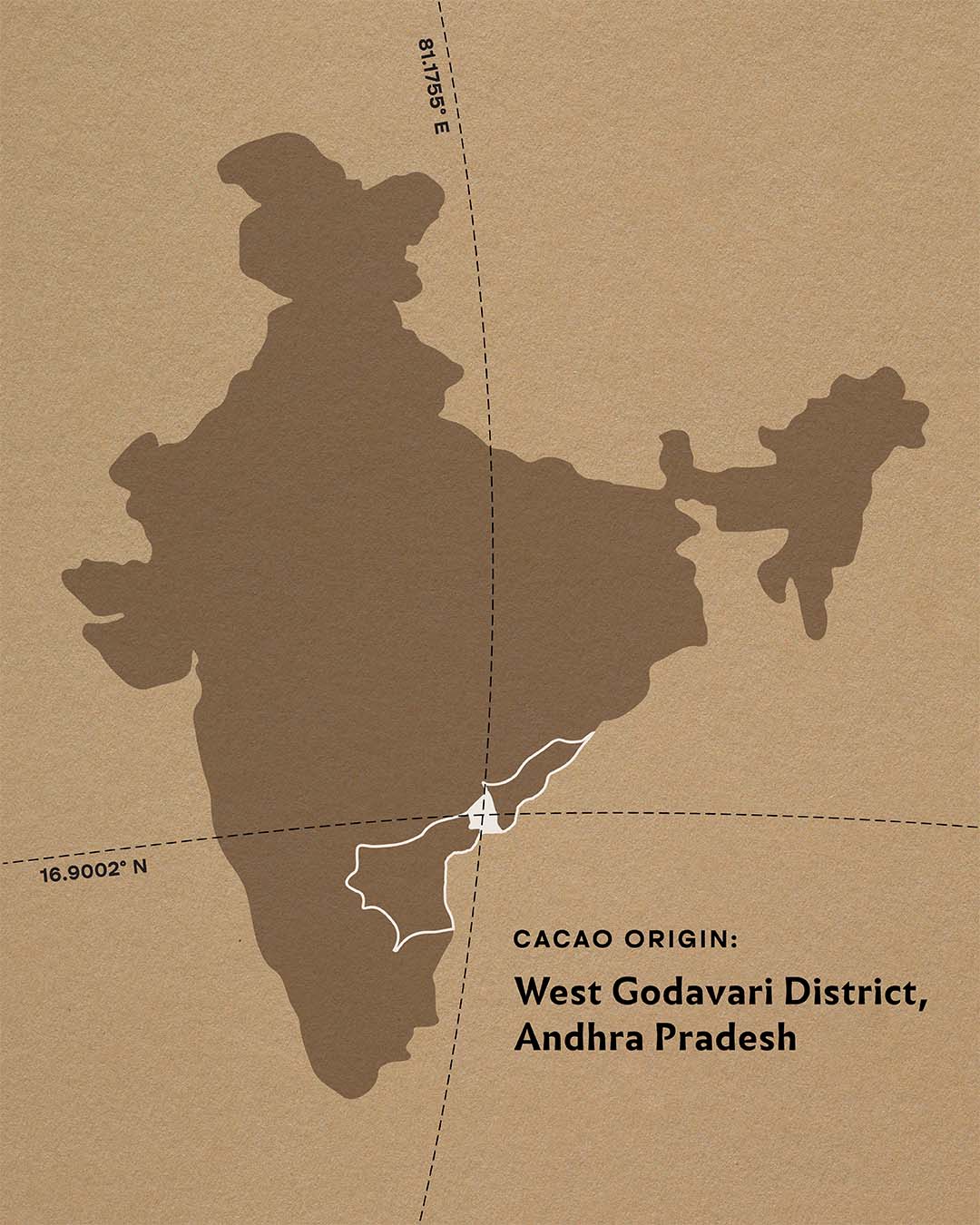 Enrobed Chocolate Energy Bars - 45% Milk & 60% Dark & White - Image 4